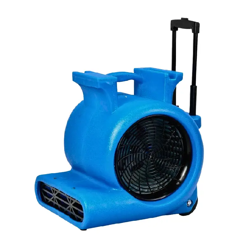 Õhupuhur 850W